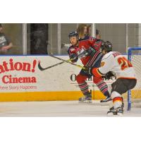 Wings Continue Building Blue Line with Re-Signing of Charlie Vasaturo