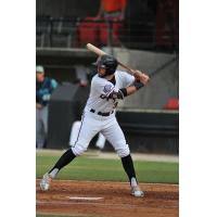 Griep and Erceg Named Year-End Carolina League All-Stars