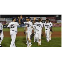 14-Hit Outburst Leads Patriots Past Bees 7-5