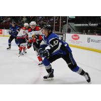 WILDCATS COME FROM BEHIND TO EDGESEA DOGS