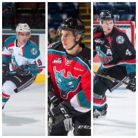 Ballhorn, Dube, Hilsendager Named Alternate Captains