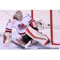 Ice Flyers Acquire SPHL MVP and Goalie of the Year Sean Bonar