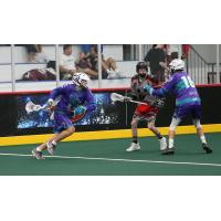 Knighthawks Announce Tryouts for Winter Jr. Teams