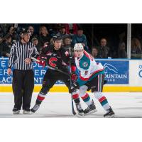 Rockets Head North for a Double Header with the Cats