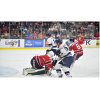 Waterloo Spoils Stampede Home Opener