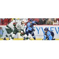 Late Surge Falls Short, Admirals Win 5-4