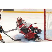 Tremblay Steals the Show, 67's Oust Flint in Overtime