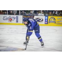 AJ Villella Named USHL Defenseman of the Week