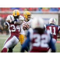 CFL News
