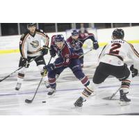 Mallards Edge Oilers in the Quad Cities