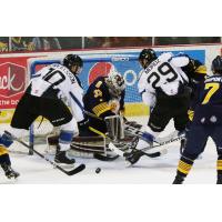 Steelheads Comeback Falls Short in Loss to Admirals
