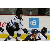 Steelheads Weekly Repor