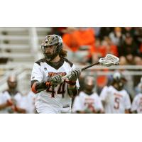 Knighthawks Sign Rit Star Chad Levick