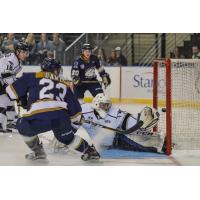 Stampede Edge Force in Fargo
