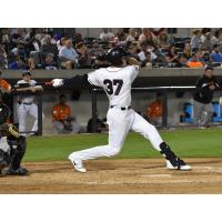 Somerset Patriots First Baseman/Outfielder Joe Maloney Signed by Baltimore Orioles