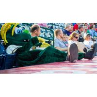 CornBelters Announce 2018 Mini-Plan Packages