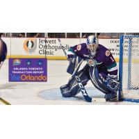 Kaskisuo Joins Solar Bears in Texas