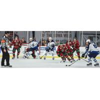Iowa Falls to Manitoba 4-2