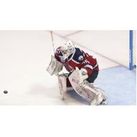South Carolina's Jakaitis named CCM ECHL Goaltender of the Week