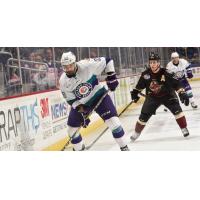 Solar Bears Weekly Report: Week of October 23