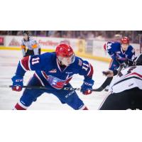 Weatherill Named WHL Goaltender of the Week