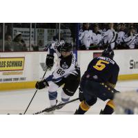 Forward Tommy Thompson Signed to Professional Tryout with AHL Texas