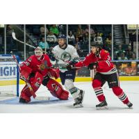 Everblades Defense Exhausts Fuel with 3-1 Victory