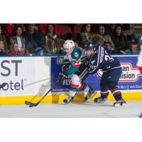 Rockets Get Set to Host Americans & Cougars in Two Game Weekend