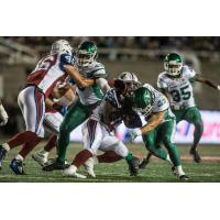 CFL News