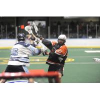 Knighthawks Sign Cody Ward