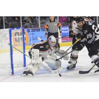 STEELHEADS: Kulbakov, Mallards Top Steelheads in Shootout
