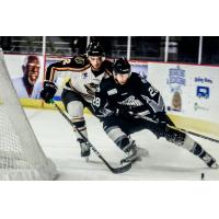 Ards Past Steelheads