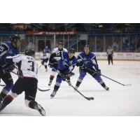 SEA DOGS END LOSING SKID WITH OTTRIUMPH OVER HUSKIES