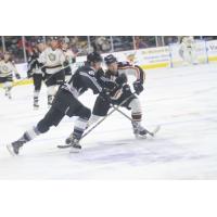 STEELHEADS