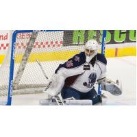 Tulsa's Williams Named Goaltender of the Week