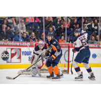 Colella Records Three-Points as Firebirds Fall to Spirit Wednesday Night