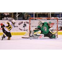 The CHL Hockey