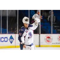 Williams Adds Another Award - ECHL Goaltender of the Month