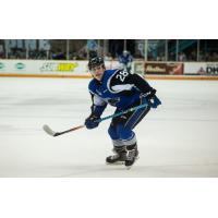 SEA DOGS COMEBACK FALLS SHORT INBAIE-COMEAU