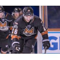 'Blades Add Defenseman Sean Robertson; Didier Recalled
