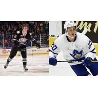 Bear Bites - Solar Bears Newsletter Presented by Fairwinds Credit Union