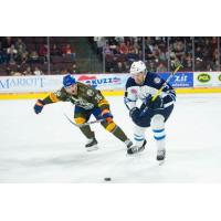 Manitoba Moose Weekly