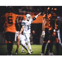 CFL News