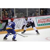 : Defenseman Vinny Muto Loaned 	To ECHL's Florida Everblades