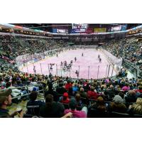 Stampede Weekly Update: Herd Host Sioux City Tomorrow Night