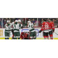 Record Attendance of 13,422 Fans See Wild Roast Hogs 5-3