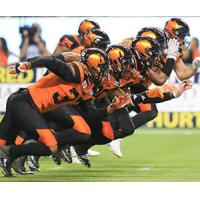 BC LIONS INSIDER:Veterans Reflect on Season Gone Wrong, Quarterback Eyes June Return and Three Key Performers Honoured.