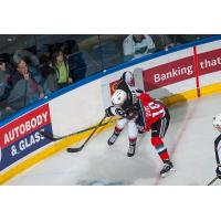 Rockets Host Giants, Rebels in Two Game Weekend