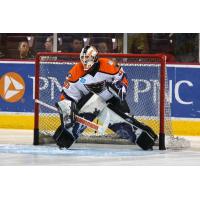 G Mark Dekanich Recalled by Lehigh Valley