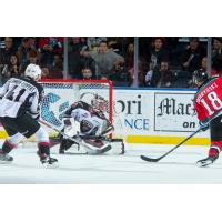 The Kelowna Rockets defeated the Vancouver Giants